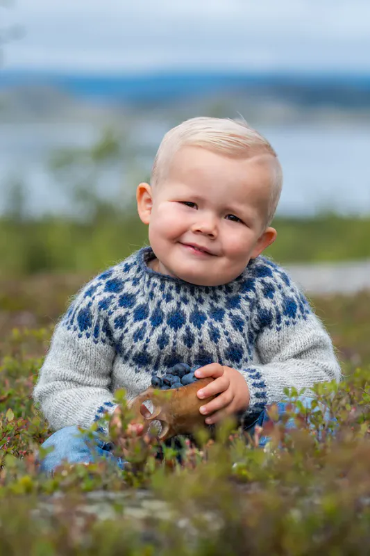 Blåbær Genser Mini - garnpakke
