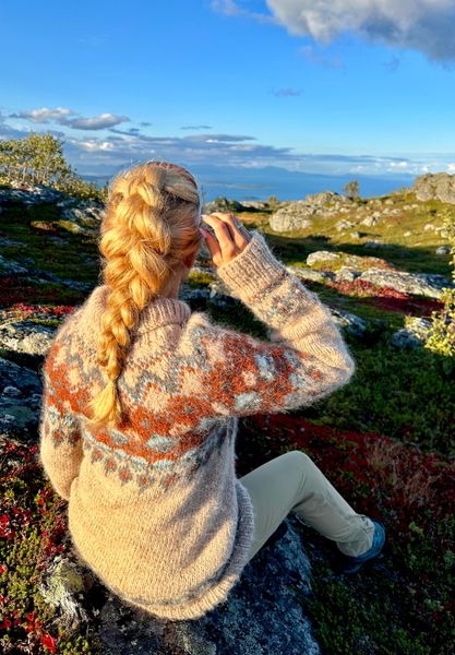 Hovedbilde Karitagenseren - Digital oppskrift