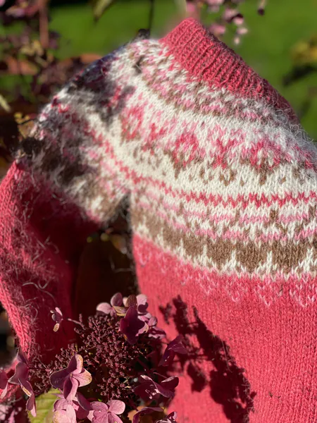 Hovedbilde Alasuq genser barn - rubarb garnpakke