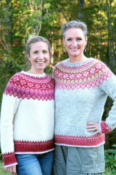 Hovedbilde Skjaldmær (Skjoldmøy) - garnpakke frost grey